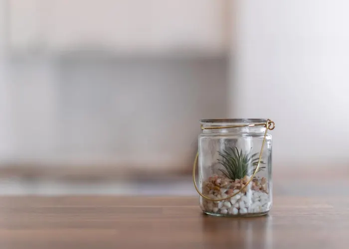 Skyline View Temešvár