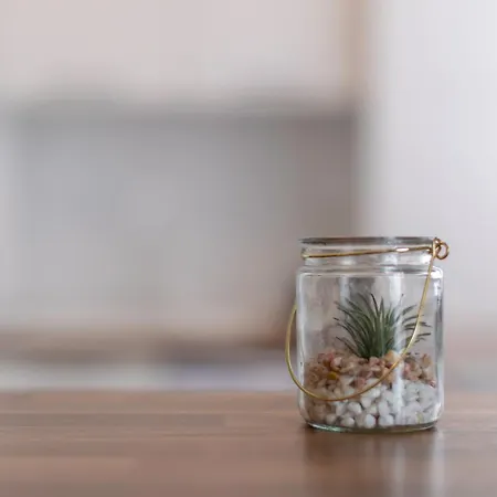 Skyline View Timişoara